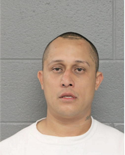 CHARLES M ROBLES, Cook County, Illinois