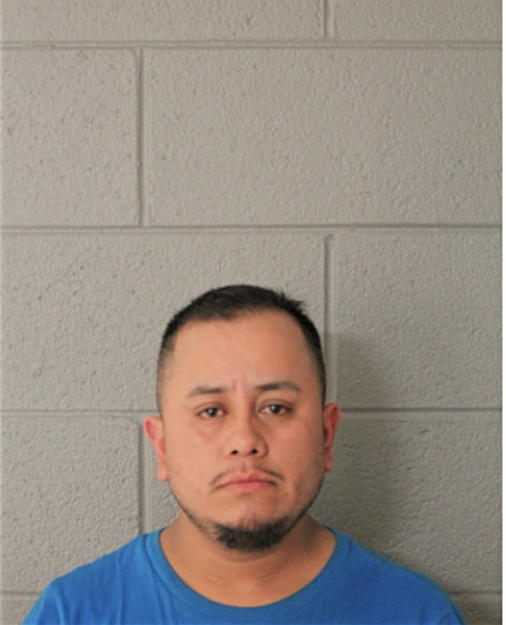 LUIS A FERNANDEZ-MONTERDE, Cook County, Illinois