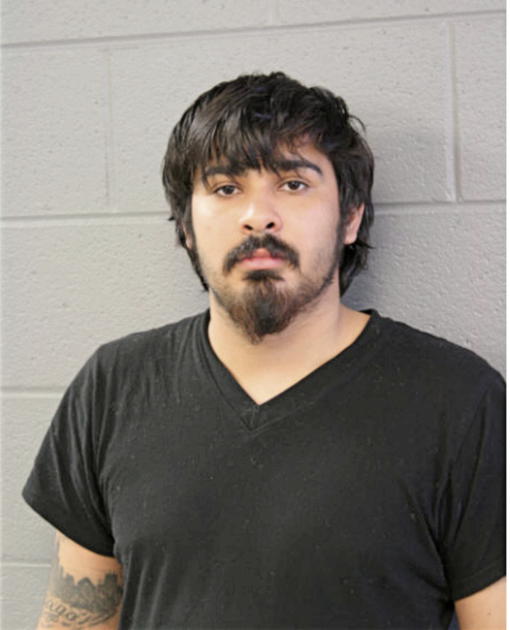 MARTIN RAMON PAGAN, Cook County, Illinois