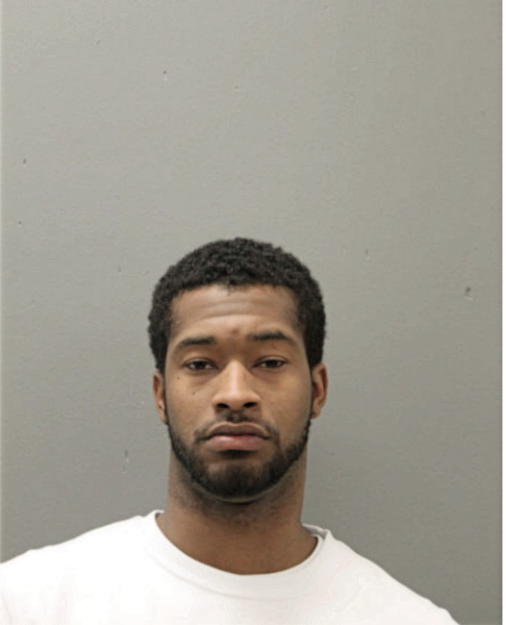 LAYONIS L MCNEAL, Cook County, Illinois