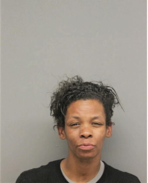YVONNE P HAYES, Cook County, Illinois