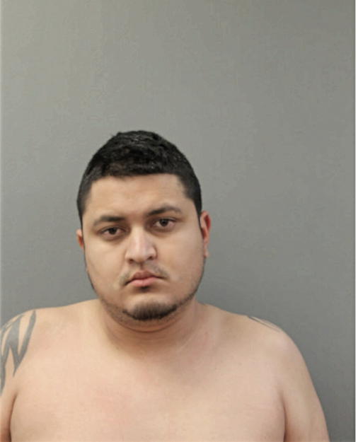 JORGE A IBARRA, Cook County, Illinois