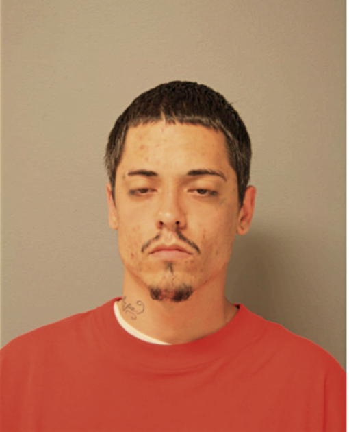 ROBERT SCHWAMLEIN, Cook County, Illinois