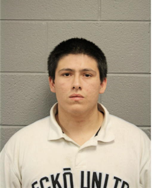 SERGIO VARGAS, Cook County, Illinois