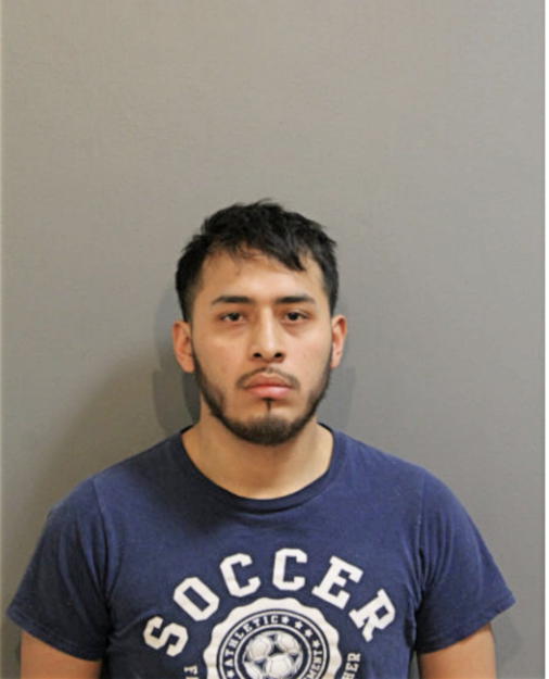 GUSTAVO GONZALEZ, Cook County, Illinois