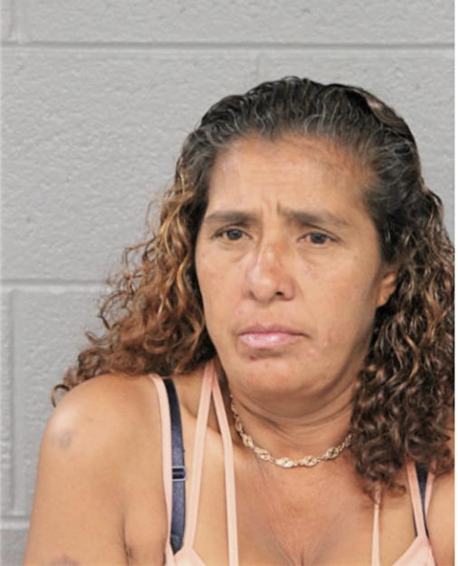 ELSA GUERRERO, Cook County, Illinois