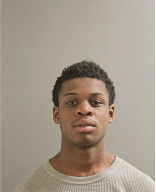 JOSHUA L NORWOOD, Cook County, Illinois