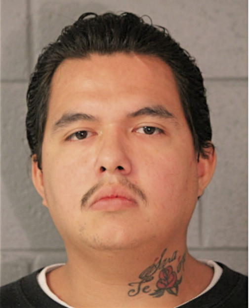 TIMOTHY R VILLAREAL, Cook County, Illinois