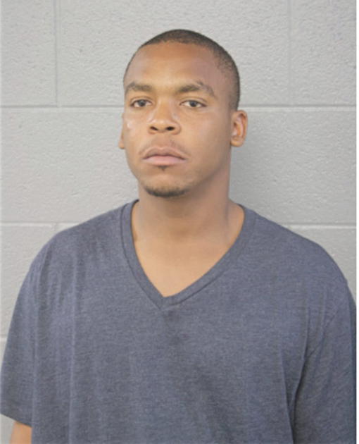 RAYVON J JOHNSON, Cook County, Illinois