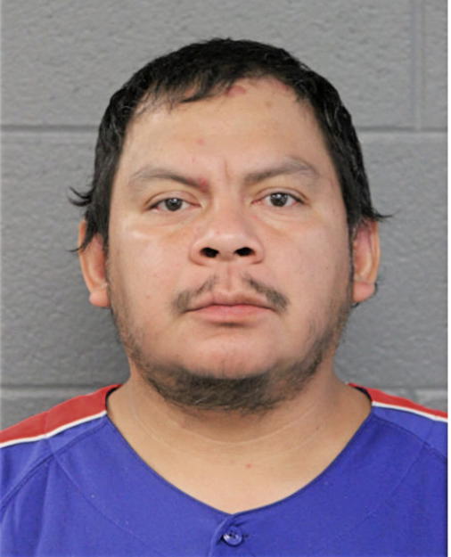 VIDAL MARTINEZ, Cook County, Illinois