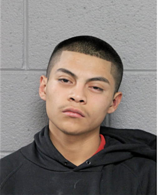 JULIO A FERNANDEZ-PENA, Cook County, Illinois