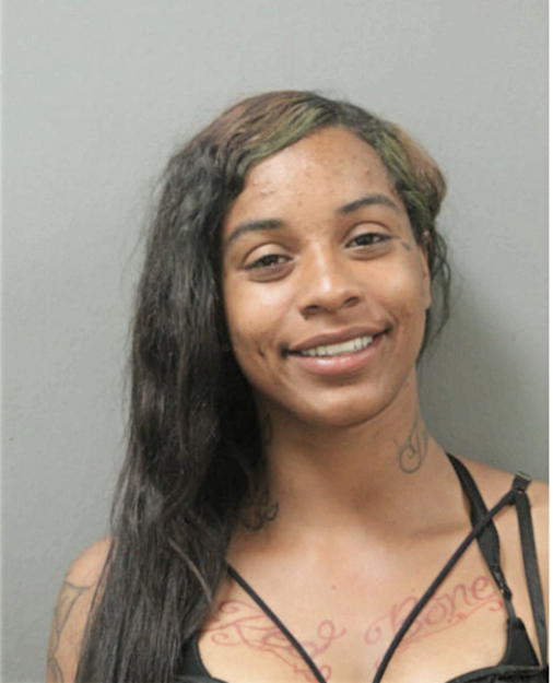BRITTANY R HILL, Cook County, Illinois