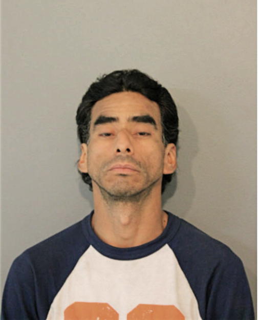 CHRISTOPHER PUENTE, Cook County, Illinois