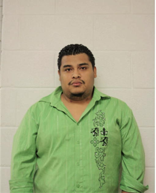 BRIAN GARCIA-FLORES, Cook County, Illinois