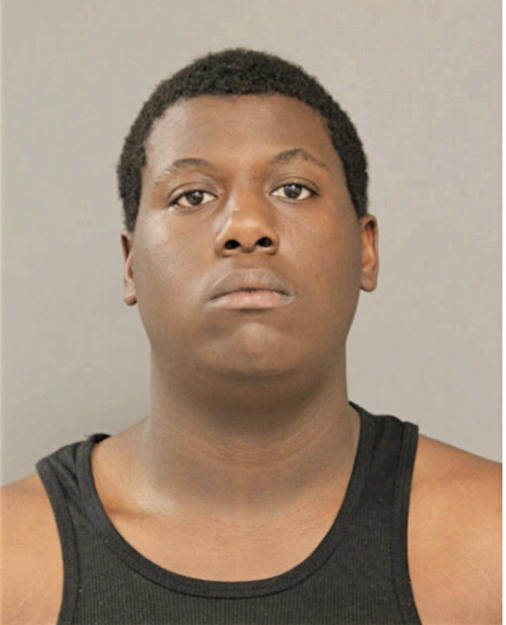 TYREESE J JAMES, Cook County, Illinois