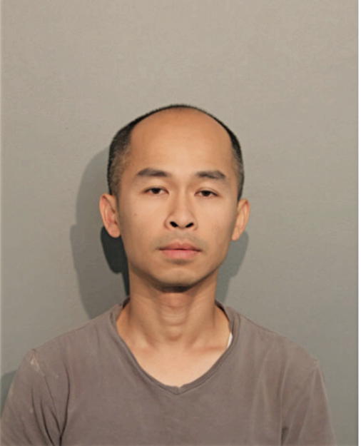 ANH T LUU, Cook County, Illinois