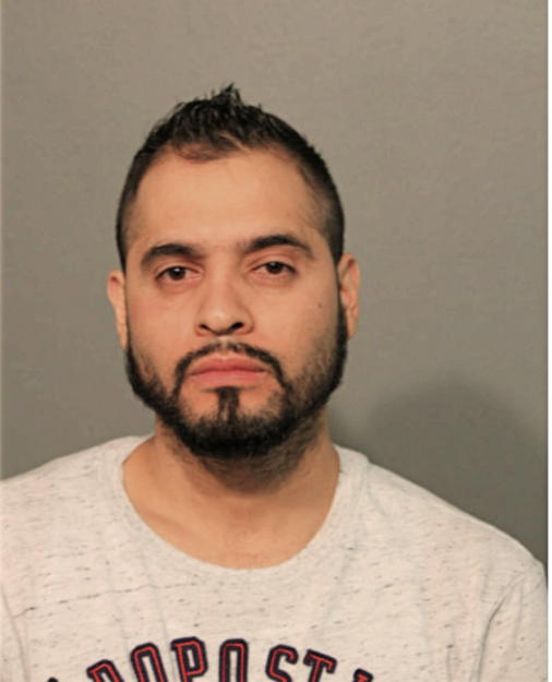 FRANCISCO J FLORES-BAUTISTA, Cook County, Illinois