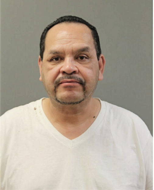 HECTOR F DOMINGUEZ, Cook County, Illinois