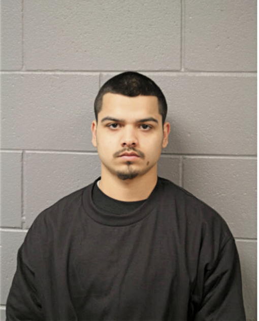 MARTIN PALAFOX, Cook County, Illinois