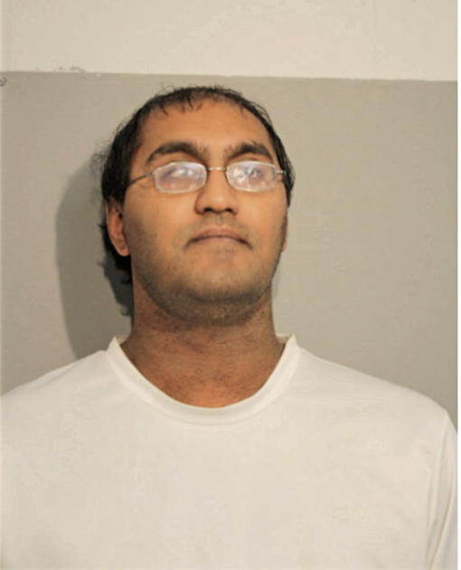 RYAN FERNANDES, Cook County, Illinois