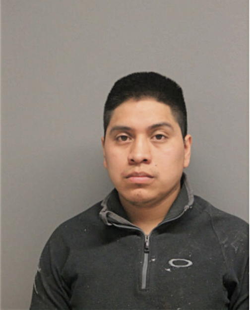 WERNER MOISES PEREZ DIAZ, Cook County, Illinois