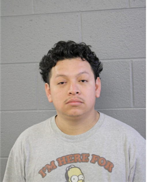 OSCAR DOMINGUEZ, Cook County, Illinois