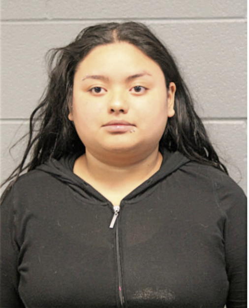 CHRISTIANA C GONZALES, Cook County, Illinois