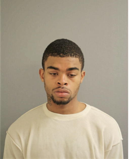 TYRELL L LEE, Cook County, Illinois