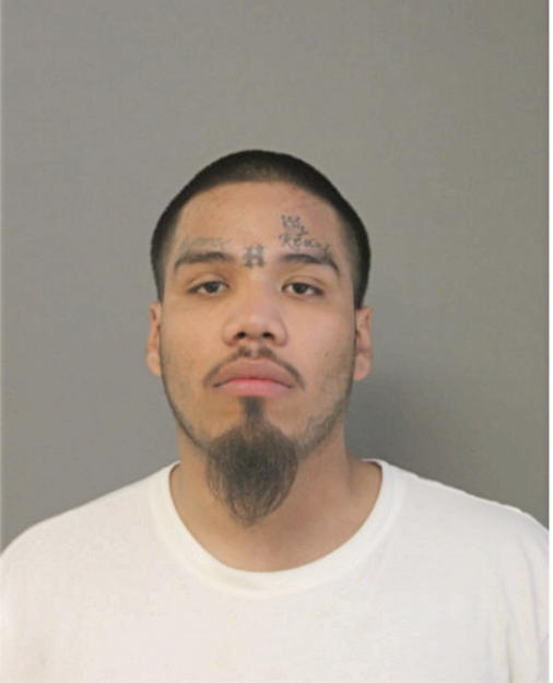 ANTHONY MENDOZA, Cook County, Illinois