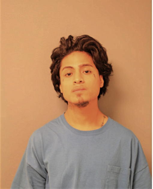 LEWIS P RODRIGUEZ, Cook County, Illinois