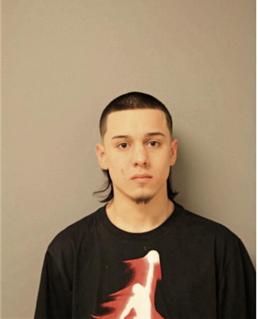 CRISTIAN TORRES, Cook County, Illinois