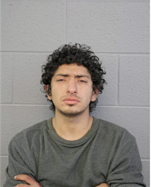 JULIO RUIDIAS, Cook County, Illinois