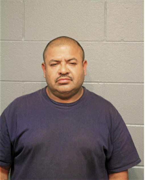 MARTIN A REYES, Cook County, Illinois