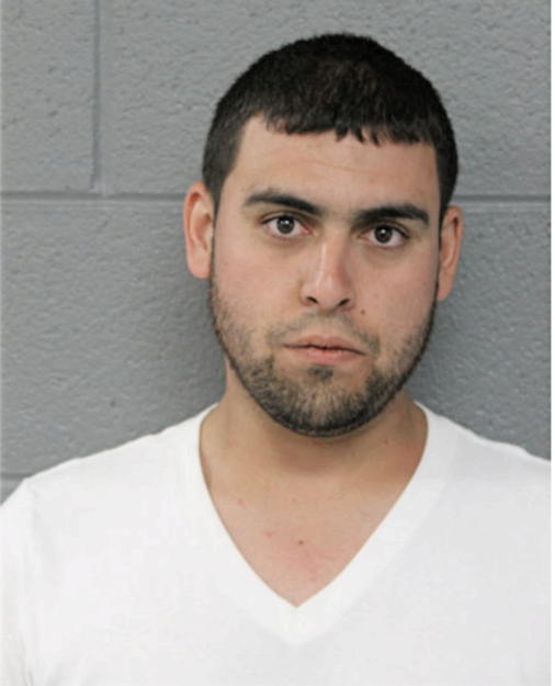 RICARDO TORRES-GONZALES, Cook County, Illinois