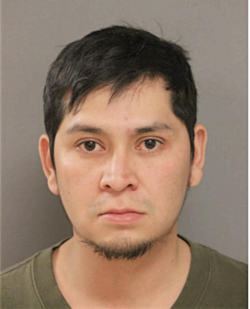 LUIS S RUBIO, Cook County, Illinois