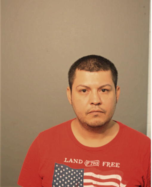 LUIS A MELENDEZ, Cook County, Illinois