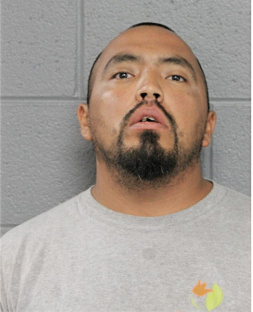 SYLVESTER CARRIZALES, Cook County, Illinois