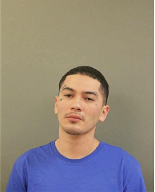 CHRISTOPHER M MARTINEZ, Cook County, Illinois