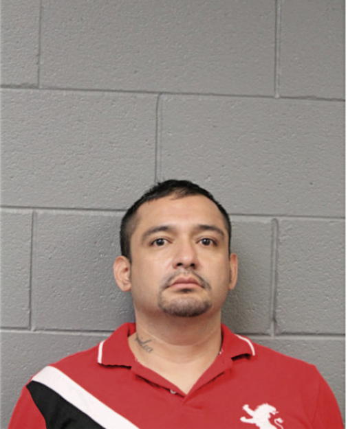 JORGE PINEDA-RENDON, Cook County, Illinois