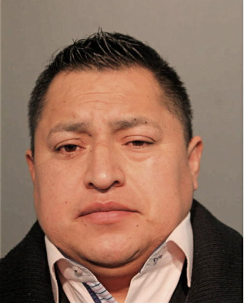 LUIS F TORRES-TORRES, Cook County, Illinois