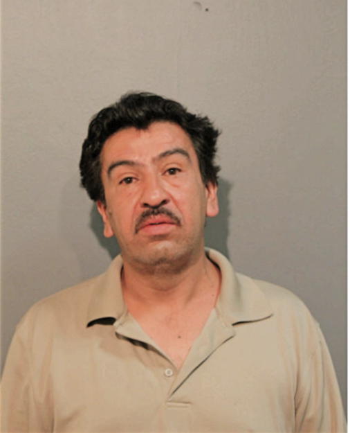 JOSE M LUNA, Cook County, Illinois