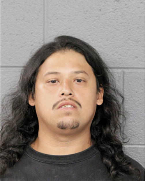 JULIO C FLORES, Cook County, Illinois