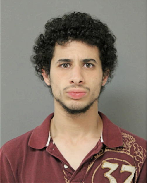 OUSSAMA DJAID, Cook County, Illinois