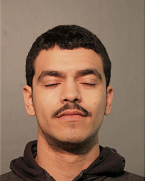 HECTOR S SANCHEZ, Cook County, Illinois