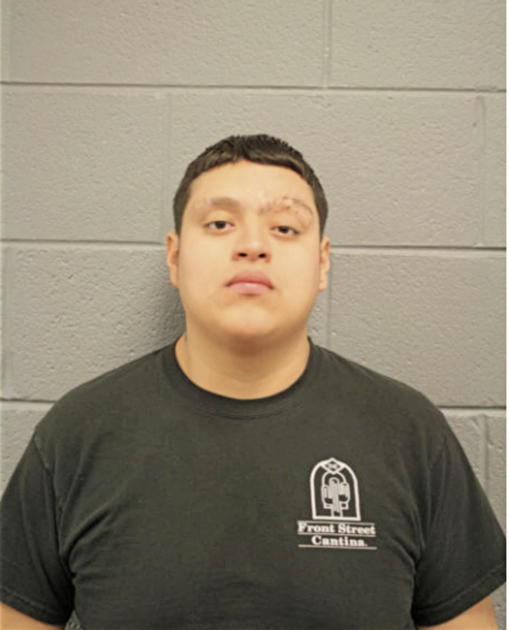 ISMAEL H GONZALEZ-DIAZ, Cook County, Illinois