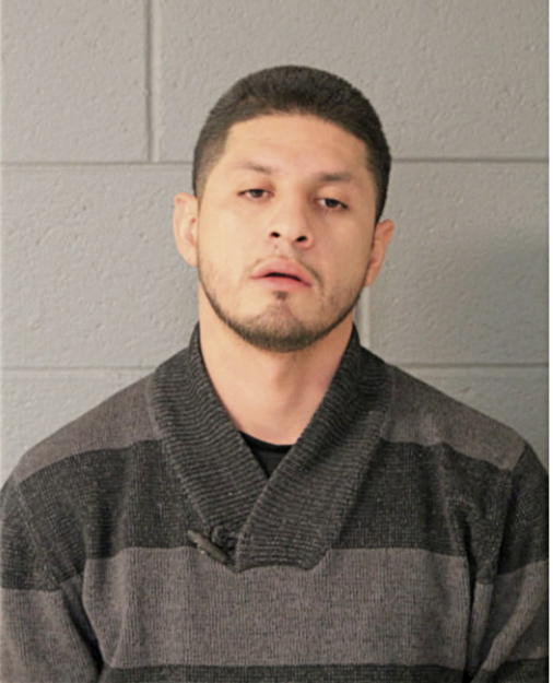 MARIO ORTEGA, Cook County, Illinois