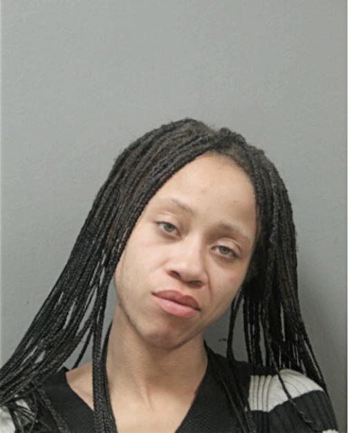 BRITTANY A LYKE, Cook County, Illinois