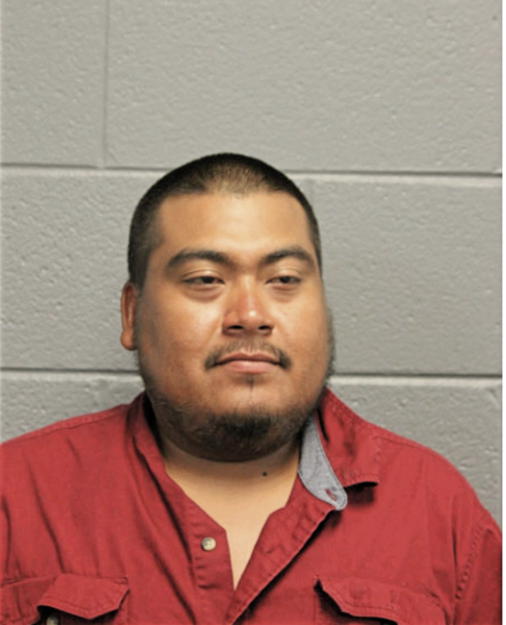 ROGELIO REYES-ENRIQUEZ, Cook County, Illinois