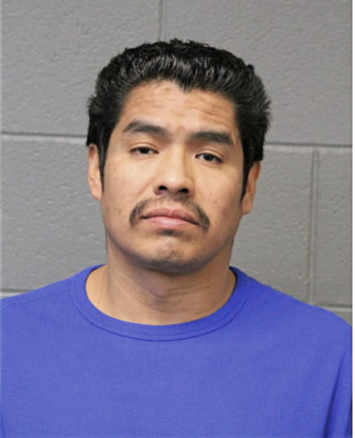 ALFONSO REINA-ROSALES, Cook County, Illinois