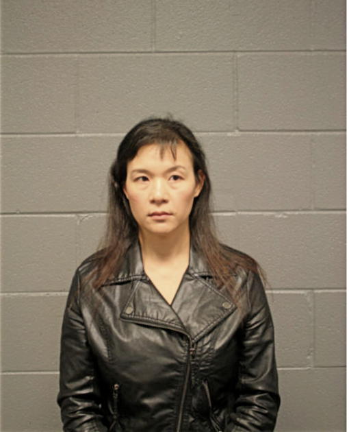 HUANG MEI, Cook County, Illinois